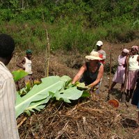 Agroecology